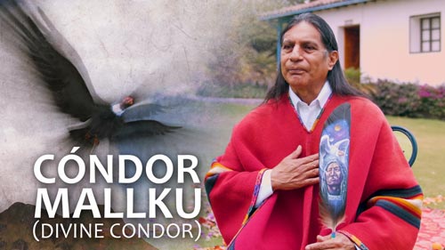 Shairy Quimbo, Shaman from Ecuador